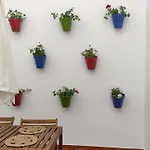 El Rincon De Madera - Apartamento Centrico En Conil